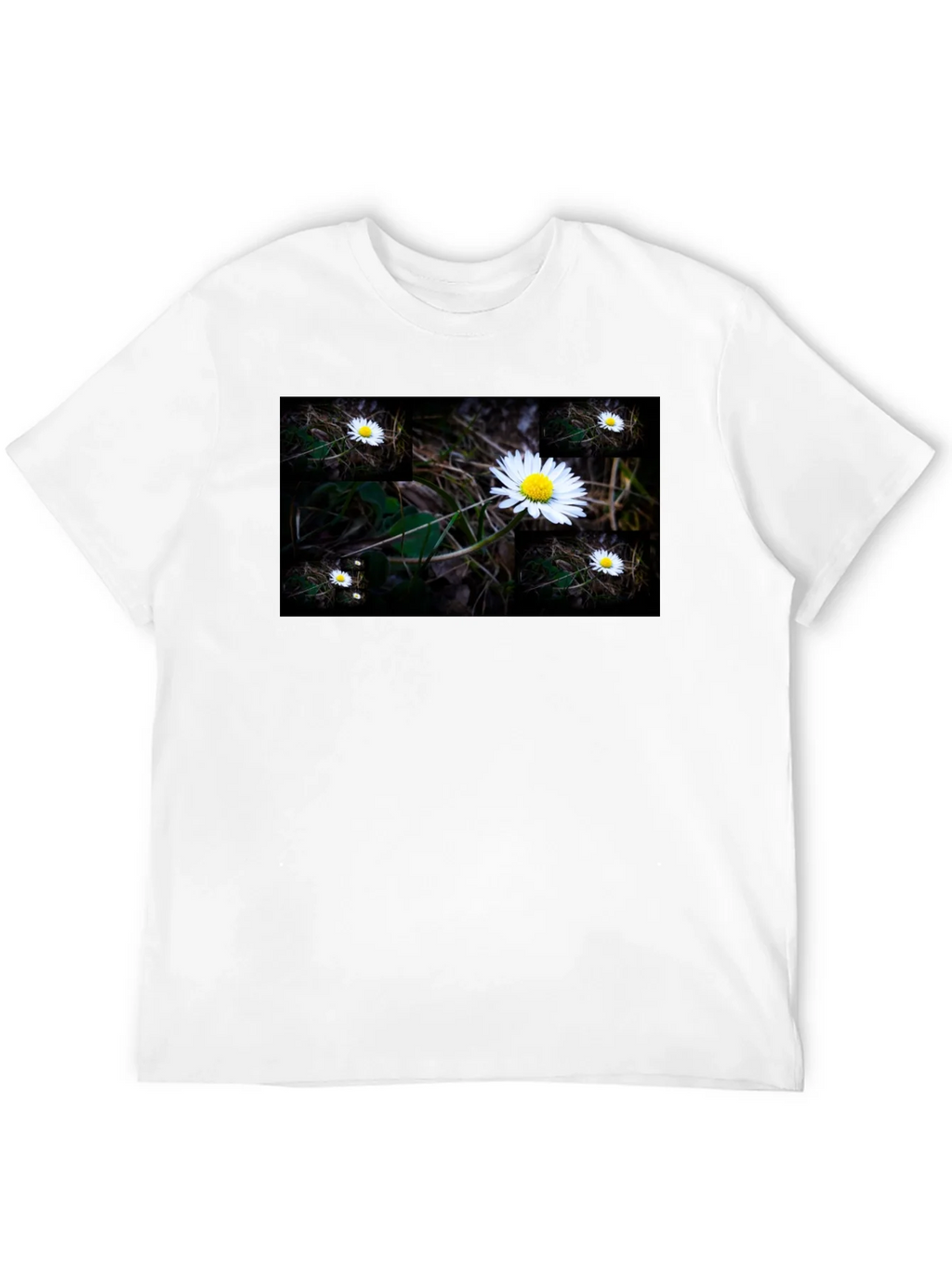 Daisy Field Graphic Tee - Soft Black Cotton product image 4