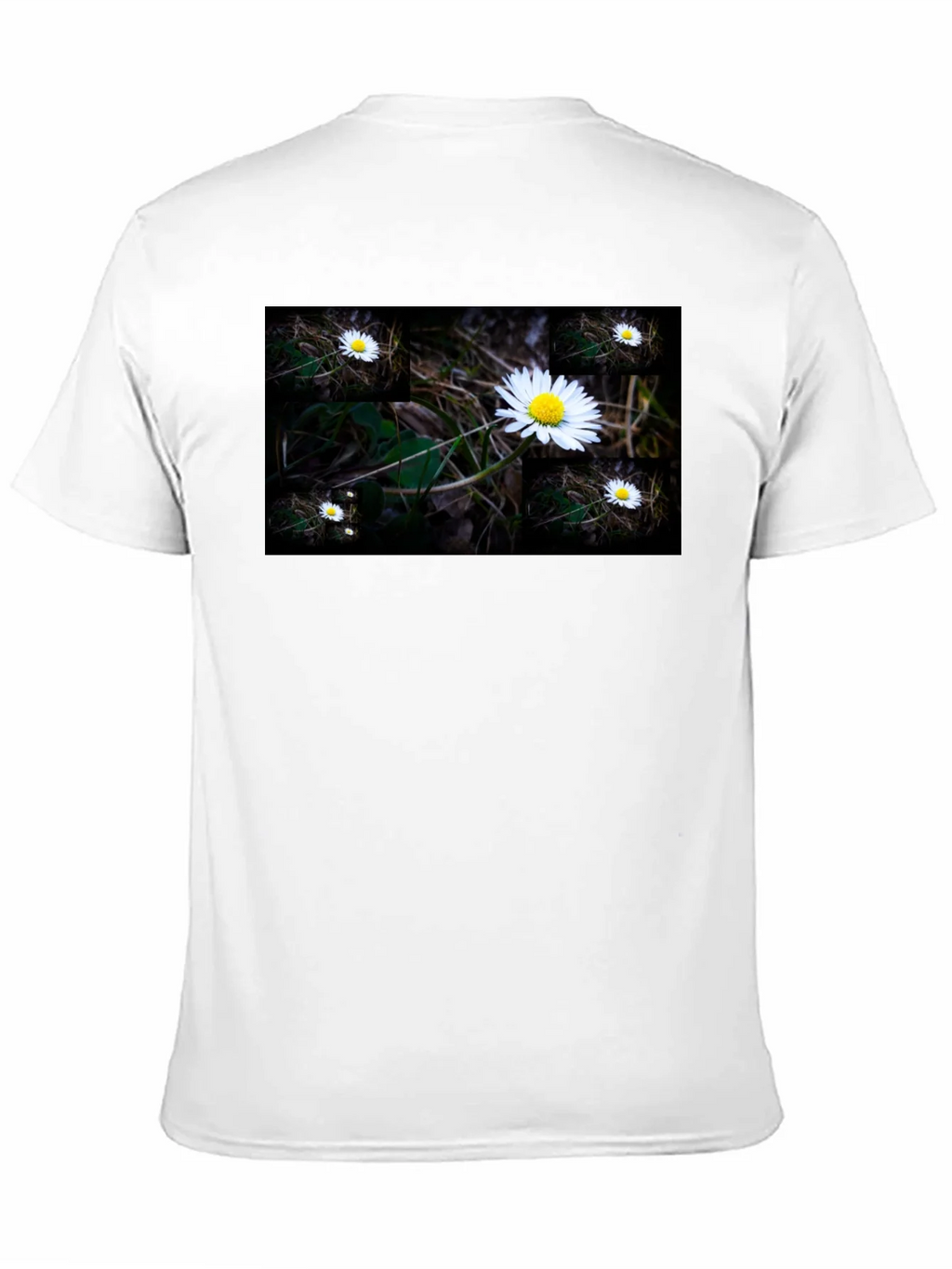 Daisy Field Graphic Tee - Soft Black Cotton product image 3