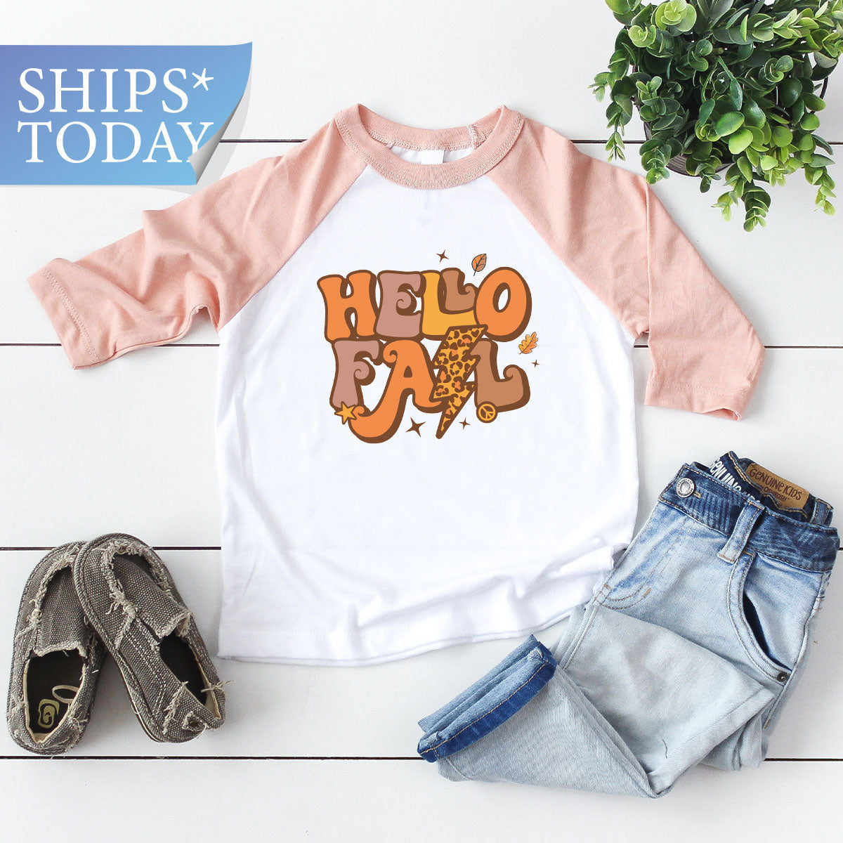 Hello Fall Shirt, Halloween T-Shirt, 2022 Hoodie, Long product image 5